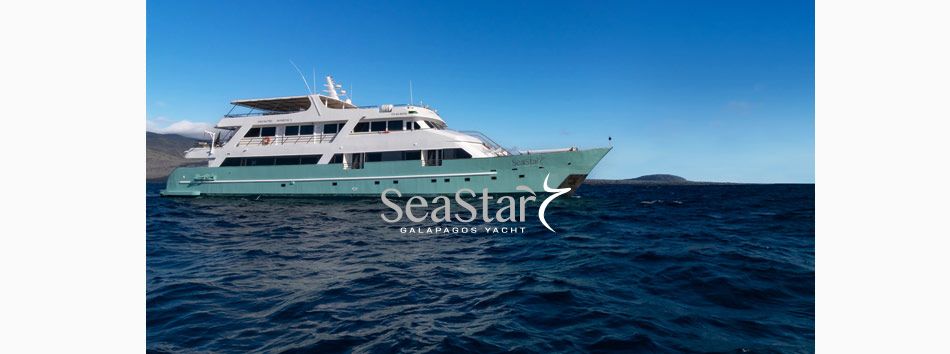 Sea Star